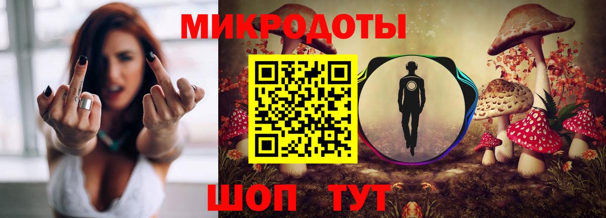Галлюциногенные грибы Psilocybine cubensis Кизляр