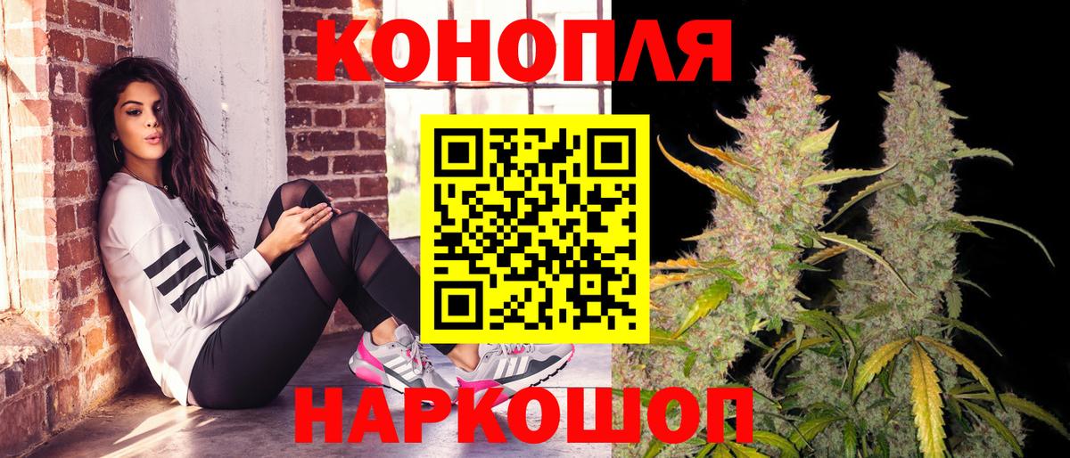 Кизляр  Конопля сатива  Вход с VPN  Канабис план 